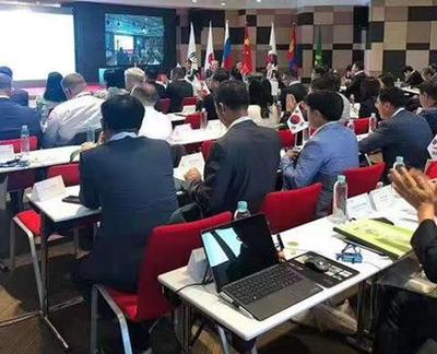 专业个人翻译服务 精准解读与翻译诊断报告